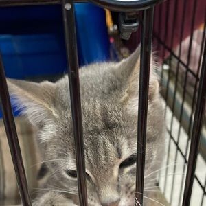 Meet your Posher, Ellie